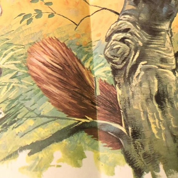 Vtg Zip and the Hedgehog Infant Series Book Robert Dallet Corlia - Picture 11 of 15